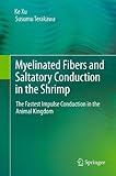 Myelinated Fibers and Saltatory Conduction in the Shrimp : The Fastest Impulse Conduction in the Animal Kingdom, Xu, Ke and Terakawa, Susumu, 4431539239