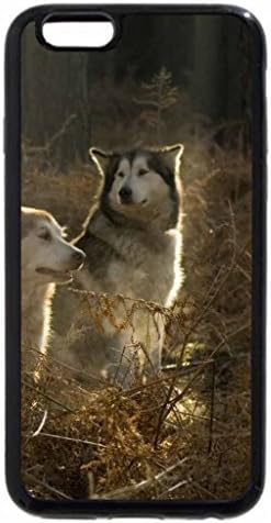 iPhone 6S Plus Case, iPhone 6 Plus Case, Siberian husky
