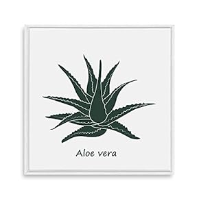 Framed Canvas Wall Art for Living Room, Bedroom Nordic Style Plants Theme Canvas Prints for Home Decoration Ready to Hang - 16x16 inches