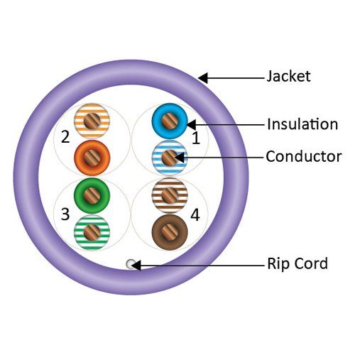 Vertical Cable CAT5E, 350 MHz, UTP, 24AWG, 8C Solid Bare Copper, Plenum, 1000ft, Purple, Bulk Ethernet Cable - Made in USA