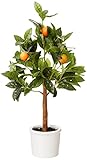 Amazon Brand - Stone & Beam Artificial Orange