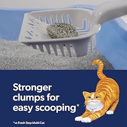 Fresh Step Outstretch Advanced Long Lasting