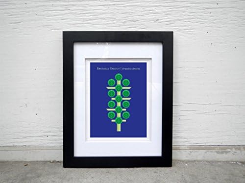 Hand-signed Brussels Sprout Modern Art Print by Christopher Dina
