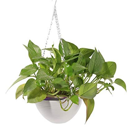Antier Hanging Plant Pot Chain Hanging Flower Plant Pot Chain Plastic Planter Holder Indoor Outdoor Basket Gardening Garden Patio Home Decoration Hang Flower Pots