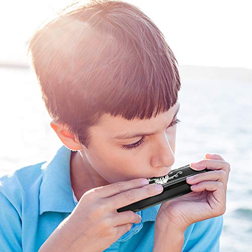 JDR Harmonica, Key of C 10 Holes 20 Tones Blues Harmonica Perfect Gift for Beginners, Professional, Students, Kid