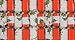 Robin Reed Bows & Berries Traditional English Christmas Crackers 10x8.5