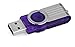 Kingston Digital 32GB DataTraveler 101 G2 USB 2.0 Drive - Purple (DT101G2/32GBZ)