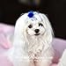 Mink Pom Pom Hair Clip - Pinky's Minky Obsession 1.5