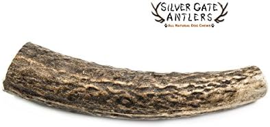 Silver Gate Antlers Elk Antlers for Dogs - Medium 5 to 6 Inch Antler Dog Chew, Whole - USA Made All Natural Elk Dog Chews - Long Lasting Durable Chew Toys for Aggressive Chewers