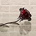 Personalized Gift Hand-Forged Wrought Iron Red Metal Rose - Valentine's Day Gift