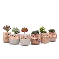 HomeCiCi 6PCS Ceramics Owl Flower Pot, Flowing Glaze Base Serial Set Succulent Plant Pot, Plant Container Thumb Pot, Planter Bonsai Pots with A Hole, 2.5 Inch/2.3 Inch