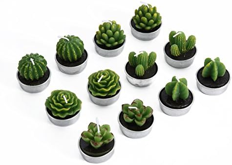 Hahihi Decorative Scented Smokeless Cactus Tealight Candles, Cute Mini Succulent Plants Candles (Perfect for Home Decor/Birthday Gift/Wedding Props/House-Warming Party), Green, 12 pcs