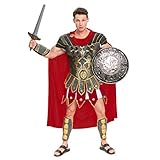 Brave Men’s Roman Gladiator Costume Set for Halloween Audacious Dress Up Party (Stardard)