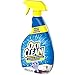 OxiClean Carpet & Area Rug Stain Remover, 24 fl oz (1)