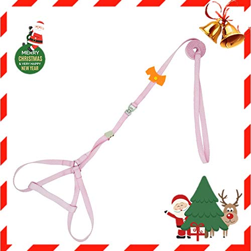 SW Imbracatura Cane Regolabile e Durevole, Step-in-Imbracatura in Nylon per Animali, Imbracatura per Cani Taglia Piccola/Media e Gatti, Adatto per Corsa/Camminata/Allenamento, Rosa