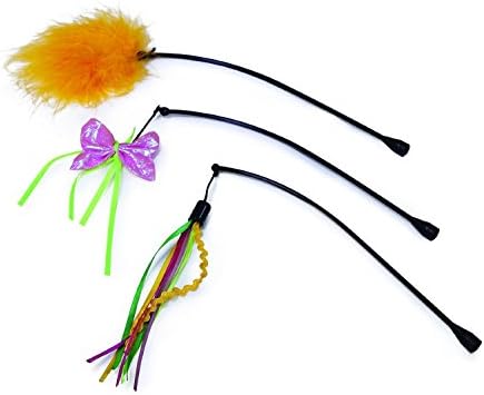 personalised leather dog collars australia