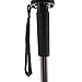 Vivitar VT67 67-Inch Monopod for Camera/Video (Black)