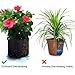 MAXSISUN 6-Pack 5 Gallon Grow Bags, Heavy Duty Thickened Non-Woven Plant Fabric Pots with Reinforced Handles for Gardeningthumb 4