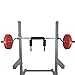 Titan Fitness Safety Squat Olympic Bar