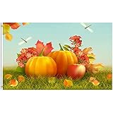 ShineSnow Harvest Autumn Pumpkin Apple Dragonfly Thanksgiving Fall Leaves 3x5 Feet Flag, Polyester Double Stitched with Brass Grommets 3 X 5 Ft Flag for Outdoor Indoor Home Decor