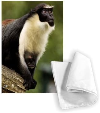West African monkey - Tea Towel 100% Cotton - Art247 - Tea Towel - 46x70cm