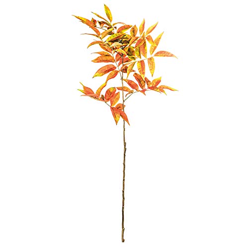 EUROCINSA Ref.40330C43 Orange Juice Leaves, Box of 12pcs, 82cm