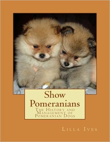 pomeranian amazon