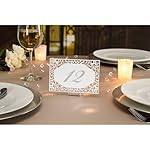 David TuteraTM Illusion Die Cut Lace Paper Table Number Cards - 25 Pieces