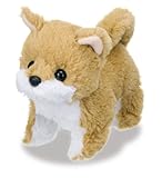 Baby Shiba Inu