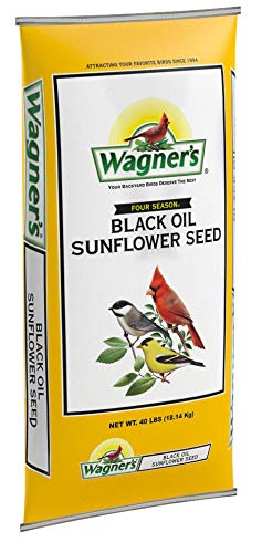 Wagner's 76029 Oil Sunflower Seed, 40-Pound Bag