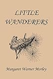 Little Wanderers, Illustrated Edition (Yesterday's Classics)