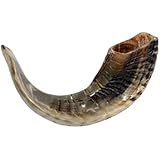 SALE Kosher Black Rams Ram Horn Natural Shofar From Israel Chofar Made in Israel size Between 14-16