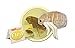 GIANT MICROBES Flea (Ctenocephalides felis) Plush