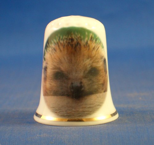 Porcelain China Collectable Thimble - Hedgehog - Free Gift Box