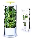 Premium Herb Keeper and Herb Storage Container - Extra Large Glass Design Keeps Greens and Vegetables Fresh for 2x Longer - By NOVART