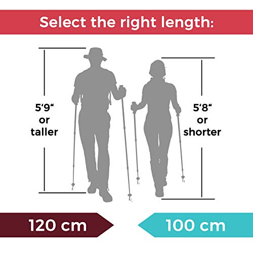 Paria Outdoor Products Tri-Fold Carbon Cork Trekking Poles/Sticks - Folding, Collapsible, Adjustable, and Ultralight - Perfect for Hiking, Walking, Backpacking and Snowshoeing (100-120 cm)