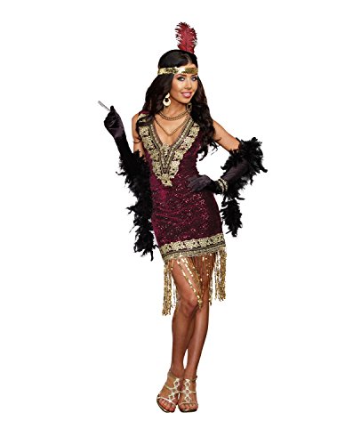 Dreamgirl Women's Sophisticated Lady Costume Set with Gloves