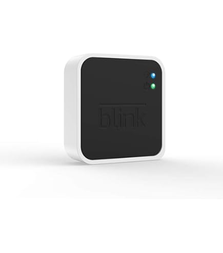 256GB USB Flash Drive and Outlet Wall Mount for Blink Sync Module 2 save Space e