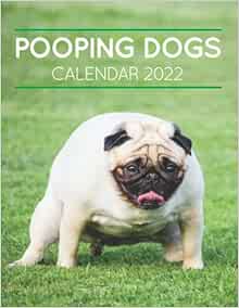 Pooping Dogs: Calendar 2022: Mason, Liam: 9798775058999: Amazon.com: Books