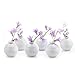 CHIVE - Set of 6 Smasak 2.5