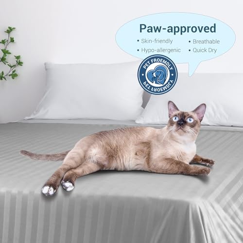 Elegear Couverture Rafraichissante d'été, Fibre de Refroidissement Arc-Chill 3.0 Japonaise Q-Max>0,5 Double Face Absorber Chaleur Corporelle Couverture Ete Légère pour Lit, Gris Clair Rayé 200x220cm