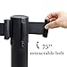 3-ft. Control Stanchions | Heavy Duty | Retractable 6.25 ft. Belt | Easy to Assemble | Perfect for Events & Parties|Silver pack of 1 set