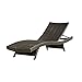 Christopher Knight Home Salem Outdoor Wicker Adjustable Chaise Lounge, Multibrown