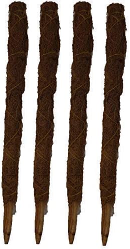 Davies Tall Coir Moss Stick Coco Pole Coconut Fibre Plant Support 60cm Bulk Buy (8 Poles)