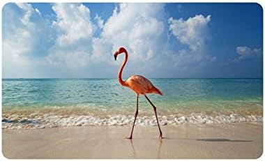 Novelty Design Custom Flamingo Doormat Entrance Mat Floor Mat Rug Indoor/Outdoor/Front Door/Bathroom Mats Rubber Non Slip Size 30 x 18 inches