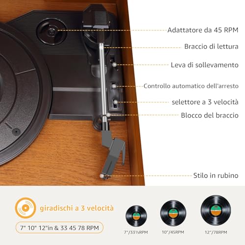 9 in 1 Bluetooth Turntable with AM/FM Radio, CD Player and Cassette, USB Player, Remote Control, Built-in Speakers, Vintage Turntable