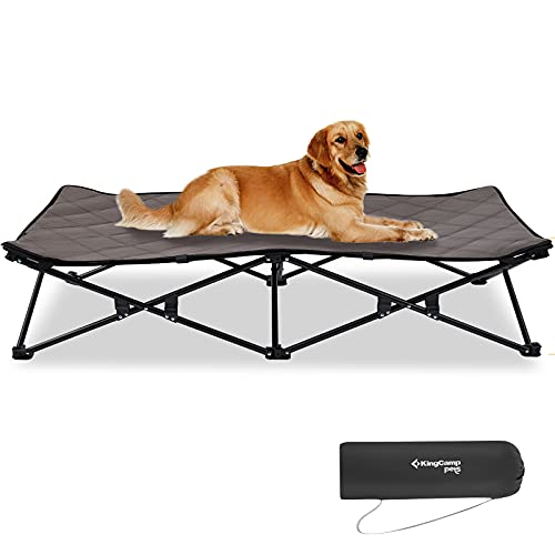 coleman elevated dog bed