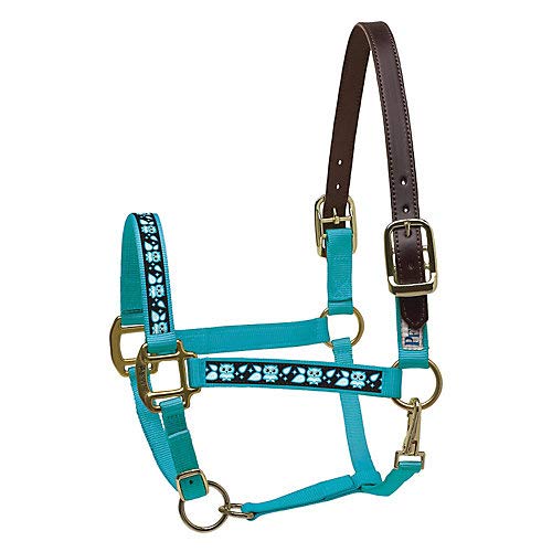 Perri’s Leather Horse with Owls Nylon Ribbon Safety Halter, Turquoise