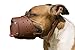 CollarDirect Leather Basket Dog Muzzle for German Shepherd Staffordshire Terrier Pitbull Medium Large Breeds Training, Anti-Barking, Biting, Chewing (Brown)