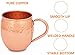 Moscow Mule Copper Mugs – Set of 2 16 oz with Shot Glass and Straws – 100% Pure Copper without Extra Metals – Perfect Quality – A Perfect Gift for any Occasion – Hammered Mug – by ZAFMANN
